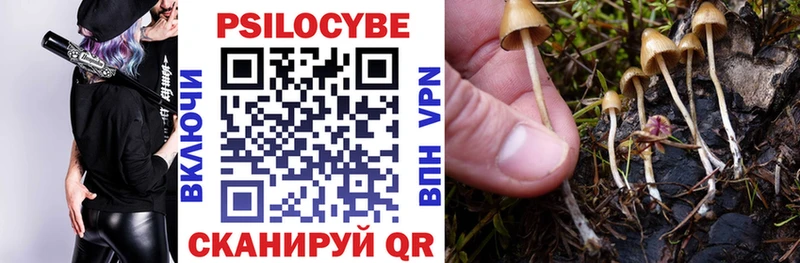 Купить закладки  Бронницы  Псилоцибиновые грибы Cubensis 